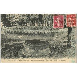 carte postale ancienne 29 HUELGOAT. Homme sur Grande Vasque Château de Rusquiec 1937