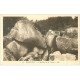 carte postale ancienne 29 HUELGOAT. Oreiller de la Vierge. Personnage sur Rocher