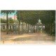 carte postale ancienne 03 VICHY. Palais des Sources Allée Centrale