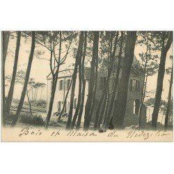 carte postale ancienne 29 NEVEZILIO-EN-PLOARE. Maison dans le Bois