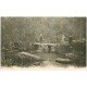 carte postale ancienne 29 PONT-AVEN. Pont rustique de Plessis. Vallée de l'Aven vers 1900