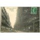 carte postale ancienne 03 VICHY. Parc. Hôtel de Cherbourg 1913