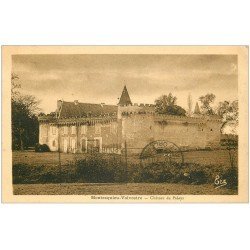 carte postale ancienne 31 MONTESQUIEU-VOLVESTRE. Château de Palays 1933