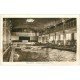 carte postale ancienne 31 TOULOUSE. Piscine d'Hiver 1933