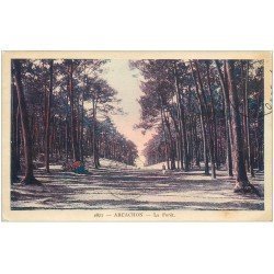 carte postale ancienne 33 ARCACHON. La Forêt 1931