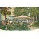 carte postale ancienne 03 VICHY. Source des Célestins. n°22