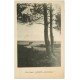 carte postale ancienne 33 CAZAUX. Bords du Lac, vaches 1928