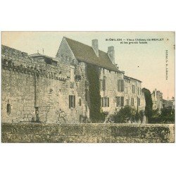 carte postale ancienne 33 SAINT-EMILION. Château Merlet et Fossés
