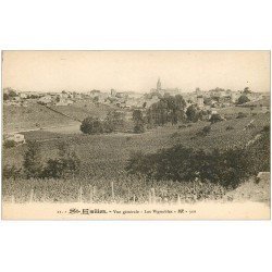 carte postale ancienne 33 SAINT-EMILION. Les Vignobles BR 21