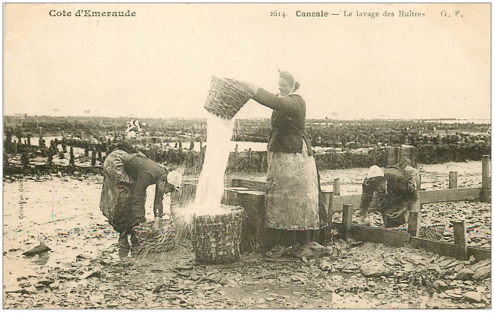 Lavage des Huîtres CANCALE