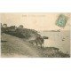 carte postale ancienne 35 CANCALE. Vache sur Falaise