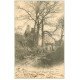 35 SAINT-BRICE-EN-COGLAIS. La Branche Manoir 1904 ramassage du bois