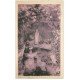 carte postale ancienne 36 PELLEVOISIN. Grotte 1948
