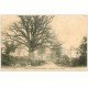 carte postale ancienne 37 CHATEAU-LA-VALLIERE. Chêne de la Vierge animation 1904