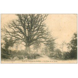 carte postale ancienne 37 CHATEAU-LA-VALLIERE. Chêne de la Vierge animation 1904