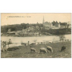 37 CHATEAU-LA-VALLIERE. Le Lac Bergère et Moutons 1924