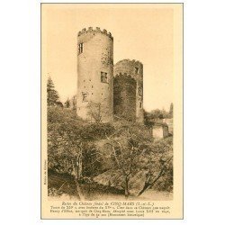 carte postale ancienne 37 CINQ-MARS-LA-PILE. Château