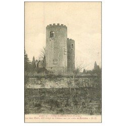 carte postale ancienne 37 CINQ-MARS-LA-PILE. Deux Tours Château