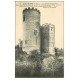carte postale ancienne 37 CINQ-MARS-LA-PILE. Snisses du Château