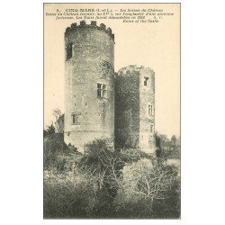 carte postale ancienne 37 CINQ-MARS-LA-PILE. Snisses du Château