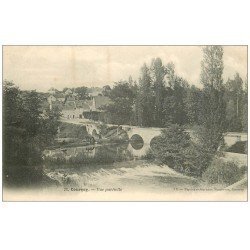carte postale ancienne 37 COURCAY. Vue partielle du pont 1904