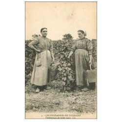 carte postale ancienne 37 EN TOURAINE. Les Vendanges. Vendangeuses de raisin rouge. Vins Vignes et Vignobles
