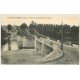 carte postale ancienne 37 ILE-BOUCHARD. Pont sur la Vieene animation