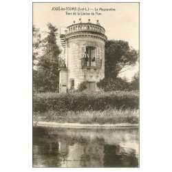 carte postale ancienne 37 JOUE-LES-TOURS. La Maucanière Tour animée