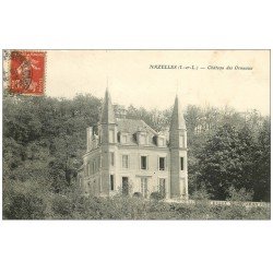 carte postale ancienne 37 NAZELLES. Château des Ormeaux 1908