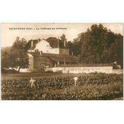 carte postale ancienne 01 REVONNAS. Château de Grillerin. Ramasseurs de légumes