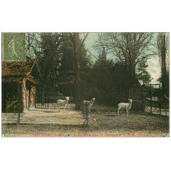 carte postale ancienne 37 TOURS. Jardin Botanique Zoologique