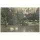 carte postale ancienne 37 TOURS. Jardin des Prébendes Cygnes 1906