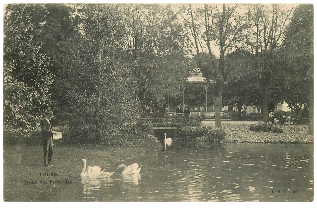 carte postale ancienne 37 TOURS. Jardin des Prébendes Cygnes 1906