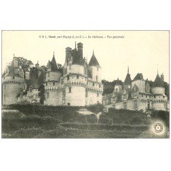 carte postale ancienne 37 USSE. Château par Rigny