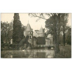 carte postale ancienne 37 VILLEPERDUE. Château Boisbonnard cygne
