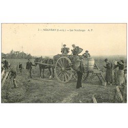 carte postale ancienne 37 VOUVRAY. Les Vendanges 1932