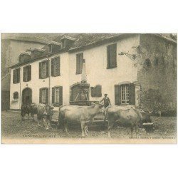 carte postale ancienne 65 BAGNERES-DE-BIGORRE. Vaches à la Fontaine de Campan 1905