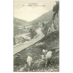 carte postale ancienne 65 BAREGE. Route du Tourmalet avec Paysanne et Vaches