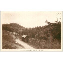 carte postale ancienne 06 CABANES -VIEILLES. La Fôret la marche des Militaires