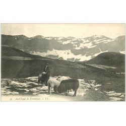 carte postale ancienne 65 CIRQUE DE TROUMOUSE. Pâtre et Moutons
