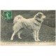 carte postale ancienne 65 PYRENEES. Chiens de Montagne 1913