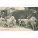 carte postale ancienne 65 PYRENEES. Chiens de Montagne avec leurs Maîtres 1912