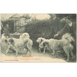 carte postale ancienne 65 PYRENEES. Chiens de Montagne avec leurs Maîtres 1912