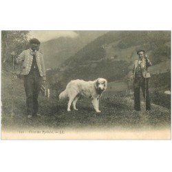 carte postale ancienne 65 PYRENEES. Chiens de Montagne et Bergers