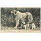 carte postale ancienne 65 PYRENEES. Chiens de Montagne Gazost I° au Chenil Club d'Argelès