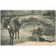 65 PYRENEES. Repos du Montagnard et de son Ane 1924