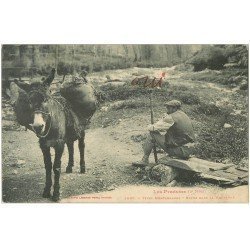 carte postale ancienne 65 PYRENEES. Repos du Montagnard et de son Ane 1924