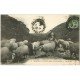 carte postale ancienne 65 PYRENEES. Un Berger et Troupeau de Moutons 1924