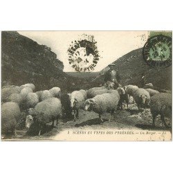 carte postale ancienne 65 PYRENEES. Un Berger et Troupeau de Moutons 1924