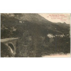 carte postale ancienne 65 SAINT-SAUVEUR. Le Pont Napoleon n°122